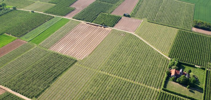 EL SECTOR AGROALIMENTARIO Y EL BREXIT: ALGUNAS REFLEXIONES INICIALES.